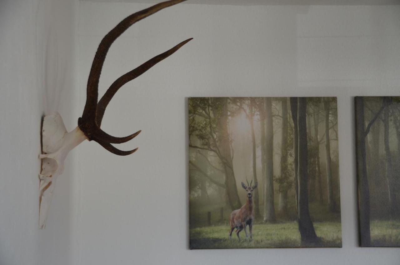 Ferienwohnung Fahrner Baiersbronn Exteriér fotografie
